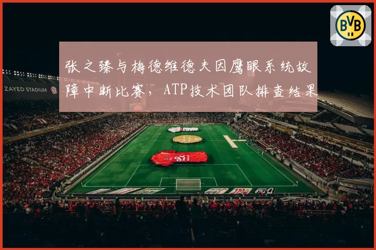 张之臻与梅德维德夫因鹰眼系统故障中断比赛，ATP技术团队排查结果能否服众？