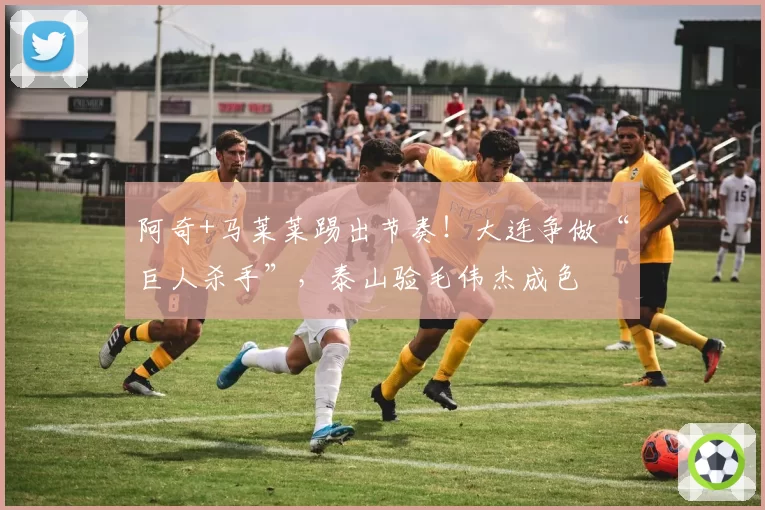 阿奇+马莱莱踢出节奏!大连争做“巨人杀手”,泰山验毛伟杰成色